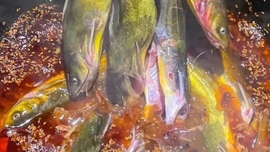 百度奥门今晚特码是什么,网红田姥姥看望离世老伴在墓前痛哭,展开解析落实_枚举版V14.87
